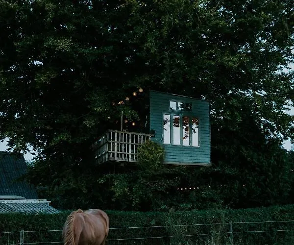 Treehouse Escape Hotel Kvaerndrup photo