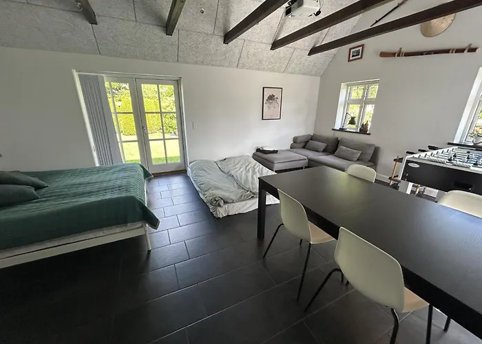 Large Modern Family Room - “Arnely” Tommerup照片