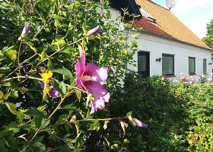 B & B Hygge Stoense photo